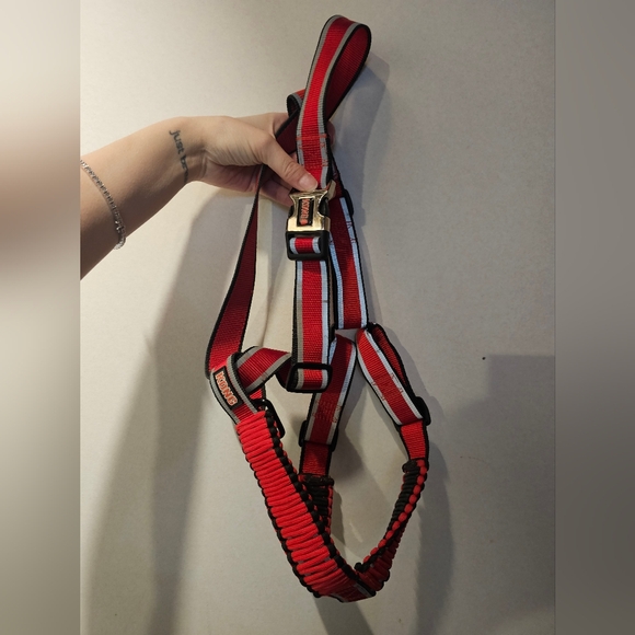 Kong Large Dog Harness - Picture 1 of 3
